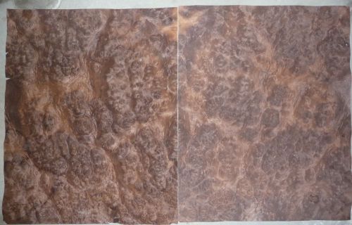 Walnut Burl cluster wood veneer 18&#034;x24&#034;