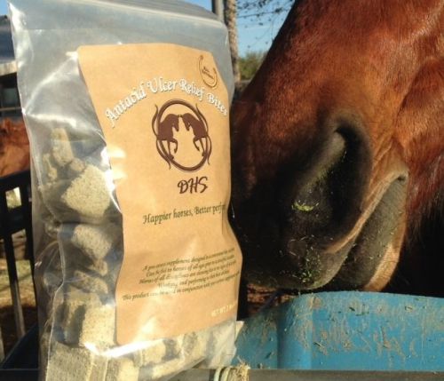 EQUINE ANTACID ULCER RELIEF BITES,Happier horse, Better performance