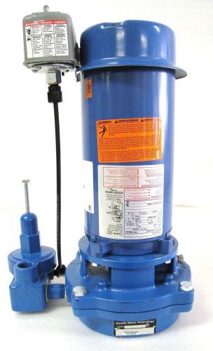 VJ10 GOULDS 1 HP VERTICAL DEEP WATER WELL JET PUMP AND MOTOR