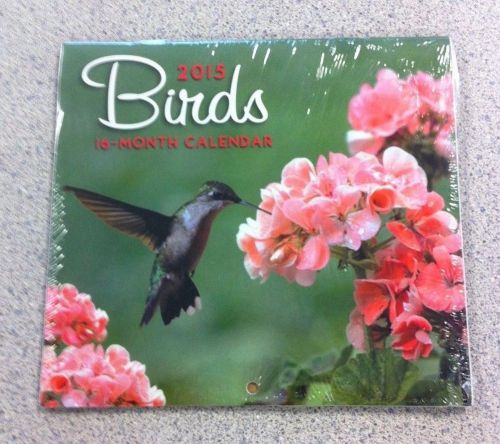 2015 BIRDS 16-month MINI Wall Calendar Small Kitten  NEW