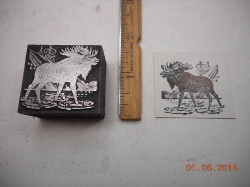 Letterpress Printing Printers Block, Moose wading in Mountain Stream