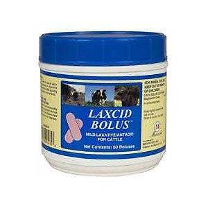 Laxcid Laxative Antacid bolus Treat Cattle Bloat 50ct