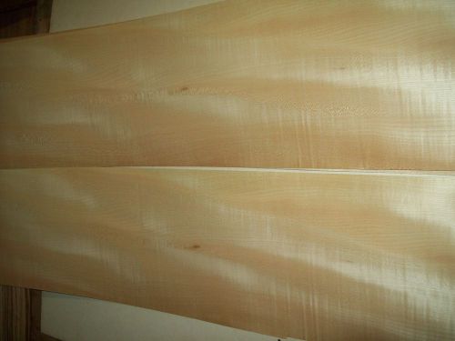 figured maple veneer 6 @ 8 x 44 [1256