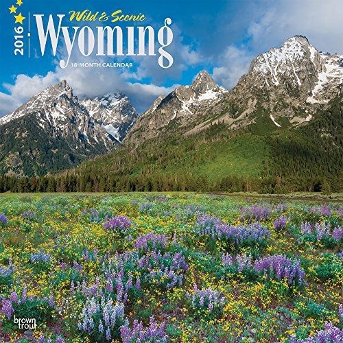 2016 Calendars Wild &amp; Scenic Wyoming 2016 Wall Calendar