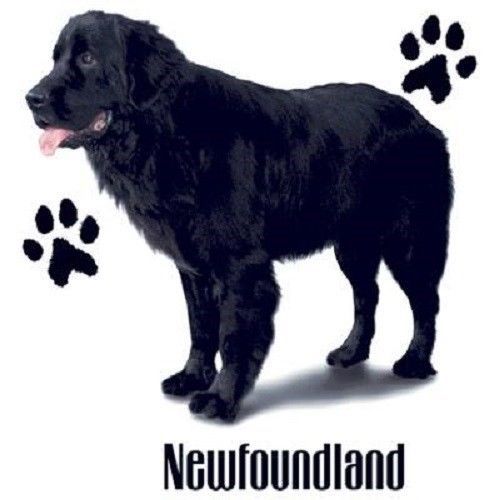 Newfoundland Dog HEAT PRESS TRANSFER for T Shirt Sweatshirt Quilt Fabric 881b