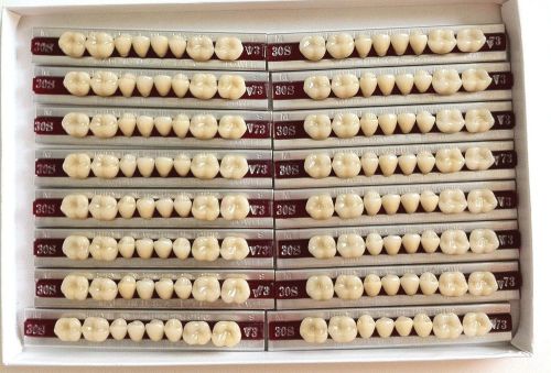 Dentsply New Hue Dentist Dental Lab Porcelain Denture Teeth - 30S  L  73