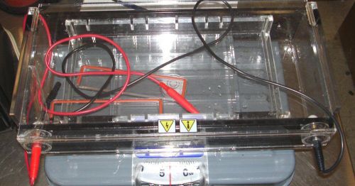 Owl Separation Systems A1 Gator horizontal electrophoresis system