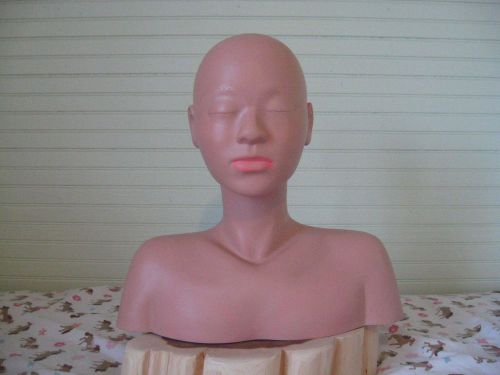 Mannequin Bald Head Bust-Eyebrows, Makeup, Wig, etc