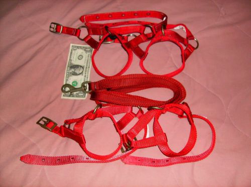 4 Red Halters, 1 Red Lead Rope, Used, Llama, Sheep, Goat, Alpaca