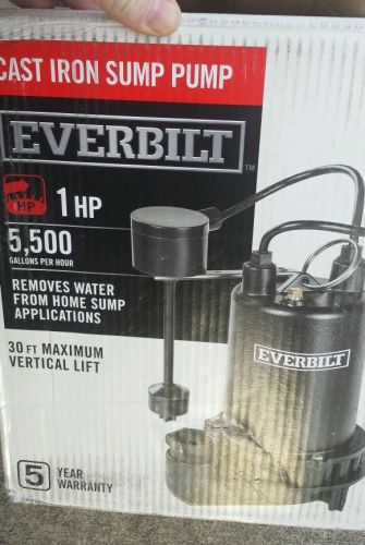 Everbilt cast iron sump pump 1 hp 5,500 gallons #r96 1000026662 for sale
