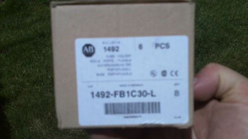 6 Allen Bradley 1492-FB1C30-L Fuse Holder (s) NOS