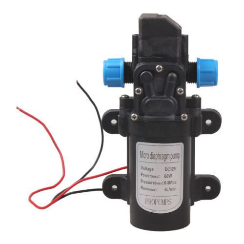 DC 12V 60W Mini Diaphragm High Pressure Water Pump Automatic Switch 5L/min USA