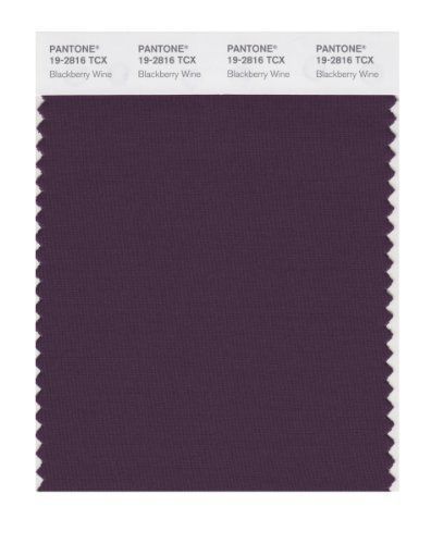 PANTONE SMART 19-2816X Color Swatch Card, Blackberry Wine