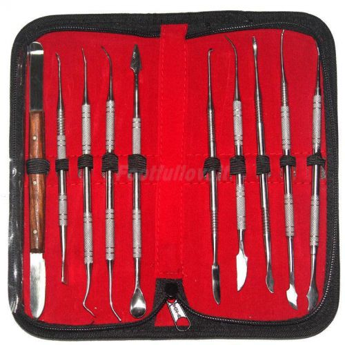 10pc Dental Dentist Tartar Calculus Plaque Remover Tooth Scraper Lab Kit Set