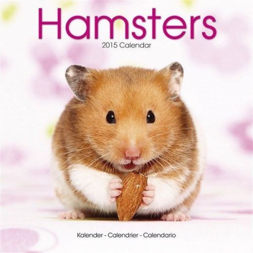 New 2015 hamsters wall calendar by avonside- free priority shipping! for sale