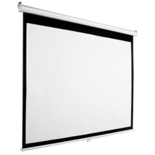 Accuscreens manual wall and ceiling projection screen for sale