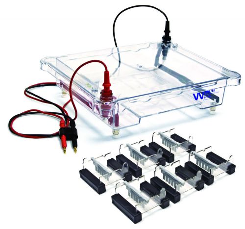 Walter Products EL-600P Electrophoresis Apparatus, six 7x7cm casting trays