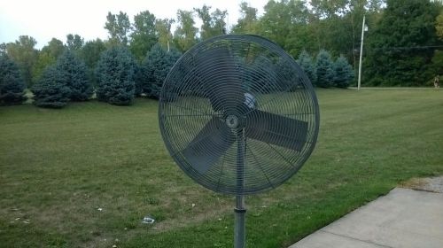 30 in.TPI Industrial Pedestal Shop Fan