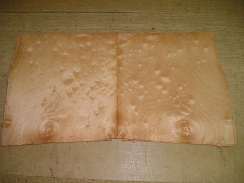 Maple Cluster Burl Veneer. 11 x 12, 22 Sheets.