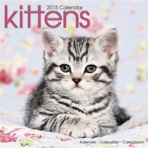 New 2015 kittens wall calendar by avonside- free priority shipping! for sale