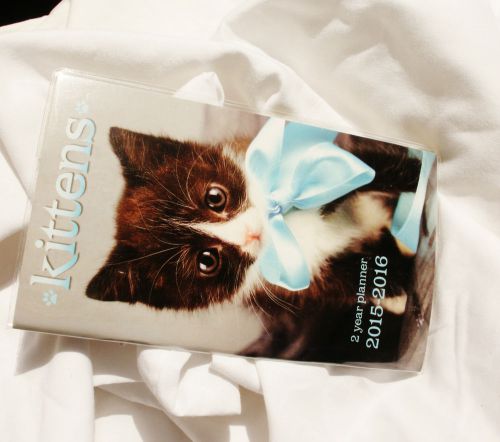 2 YEAR POCKET/PURSE PLANNER *CALENDER*2015-2016*KITTENS*CUTE!