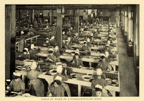 1904 Print Women Workers Pickle Bottling Factory Agriculture Sanitary CSM1