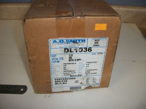 AO Smith DL1036 Electric Motor