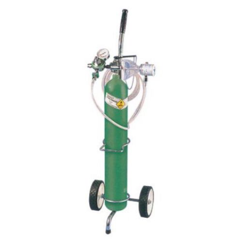 Oxygen delivery system Porter