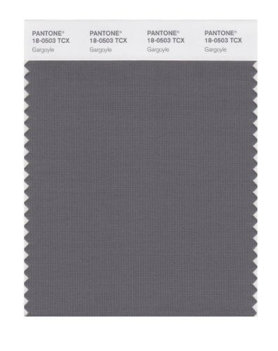 PANTONE SMART 18-0503X Color Swatch Card, Gargoyle