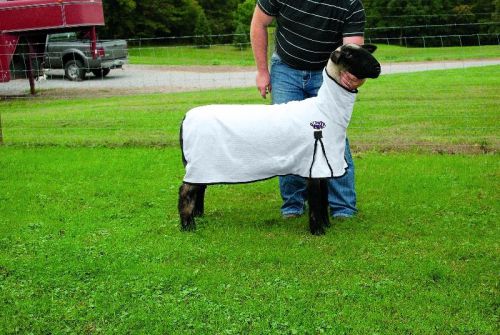 Weaver Leather ProCool Mesh Sheep Blanket - White - Small