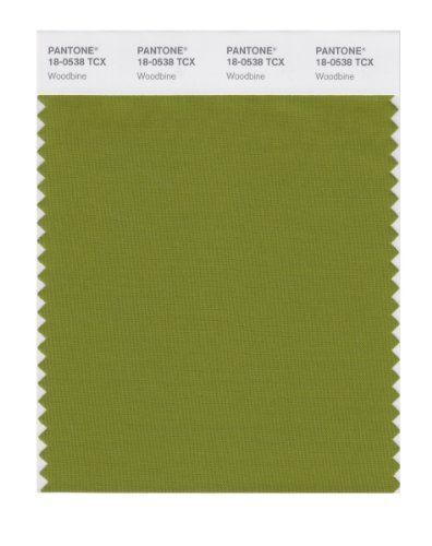 PANTONE SMART 18-0538X Color Swatch Card, Woodbine