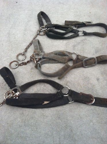 LOT OF 3 CATTLE CONTROL HALTERS STOCKMEN