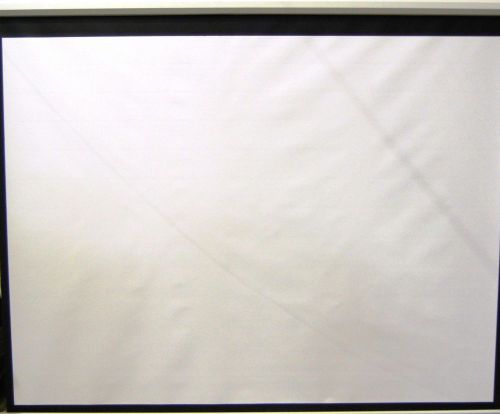 Draper AccuScreens 10-ft NTSC Electric Projection Screen 800005 - 800100730