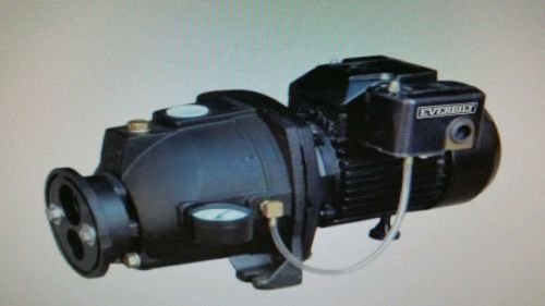 Everbilt 1 hp convertible jet pump for sale