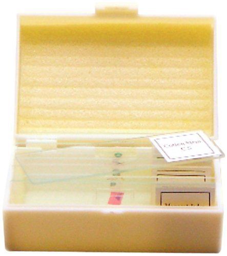 ETA hand2mind Prepared Plastic Microscope Slides (10 Each of Plants  Animals  an