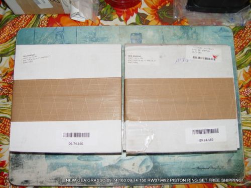 NEW GEA GRASSO 09.74.160 09 74 160 RW079492 PISTON RING SET FREE SHIPPING!