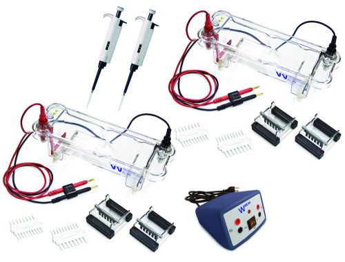 Walter EL-200-16 Electrophoresis Lab Set, Supports 16 students