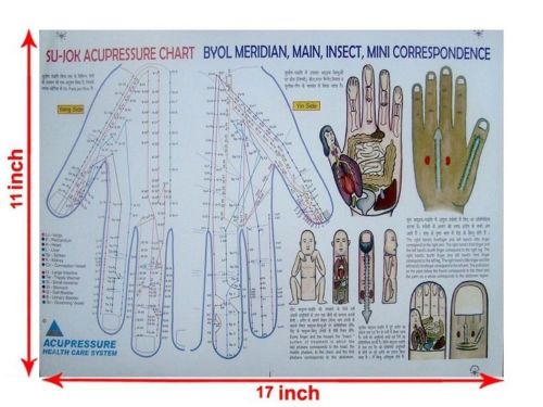 Brand New Su-Jok Chart for Correspondence - Study Educational Academics Teaching