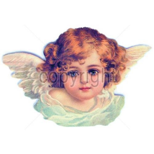 Angel Face HEAT PRESS TRANSFER T - Shirt Sweatshirt Fabric Tote Bag Print  107a