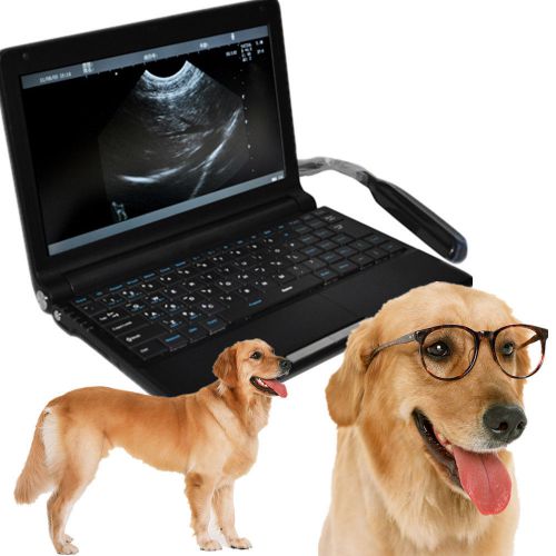 New Full Digital Laptop Vet Ultrasound Scanner with convex probe external 3D