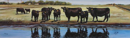 Large farm art prints black angus cattle art cows ar for sale