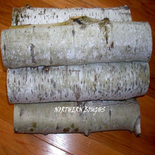 16&#034; Silver Aspen Logs