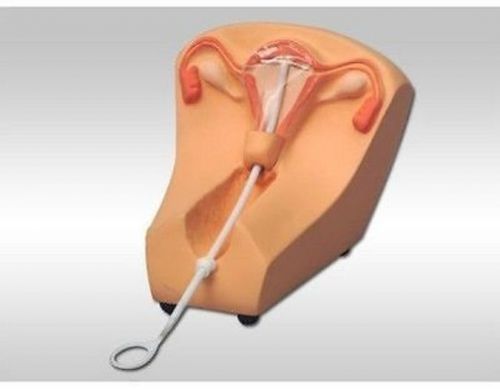 IUD Training Simulator human anatomical models