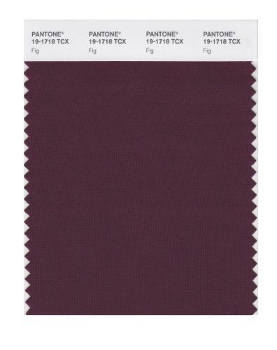 PANTONE SMART 19-1718X Color Swatch Card, Fig