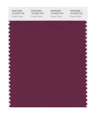 PANTONE SMART 19-2430X Color Swatch Card, Purple Potion