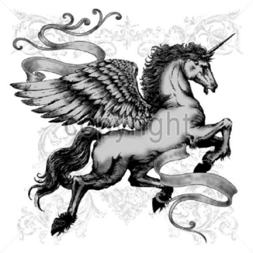 Pegasus Unicorn Horse HEAT PRESS TRANSFER for T Shirt Bag Sweatshirt Fabric 243j