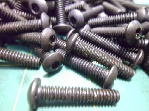 Socket Head Button Screws 10-24 x 1&#034; Black (Qty 130) #60421