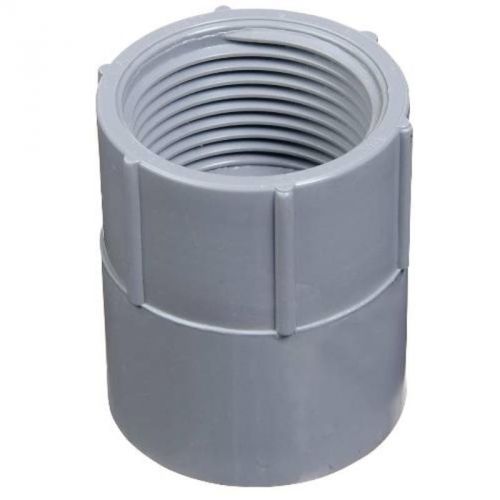 Pvc conduit female adapter 3/4&#034; e942e thomas &amp; betts corporat pvc conduit e942e for sale