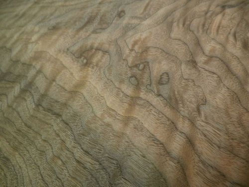 Curly walnut wood veneer          10&#034; x 26.5&#034;     &lt;stereo &gt;              4494-15 for sale