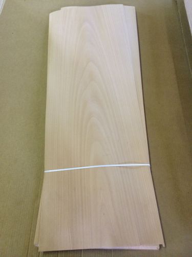 Wood Veneer Beech 13x37  24pcs total Raw Veneer &#034;EXOTIC&#034; BEC5 8-1